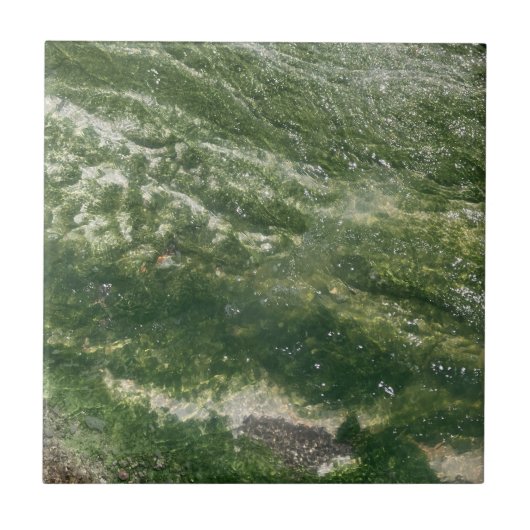 Groene decoratieve Tegel Tegeltje (Voorkant)