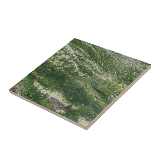 Groene decoratieve Tegel Tegeltje (Zijkant)