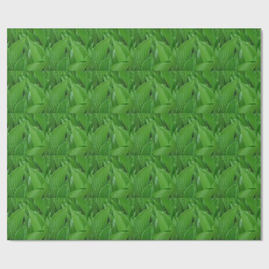 Groene deegbladeren met spoelpapier cadeaupapier (Vlak)