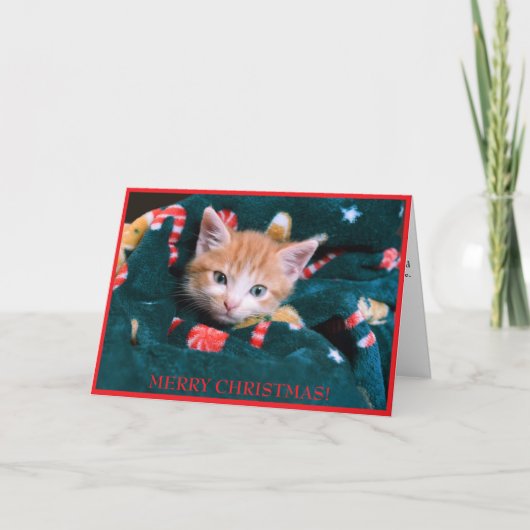 Groene Deken Kat Vrolijk Kerst Sinaasappel Kitten Feestdagen Kaart (Voorkant)