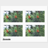 Groene denboom rechthoekige sticker (Vel)