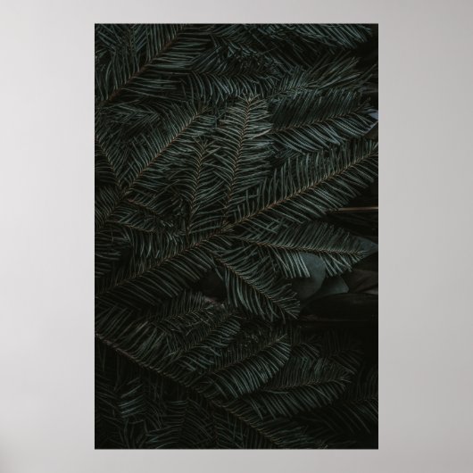 Groene denboombladeren poster (Voorkant)