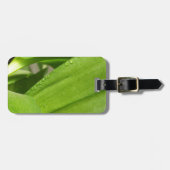 Groene Dendrobium Orchid plant closeup Bagagelabel (Voorkant horizontaal)