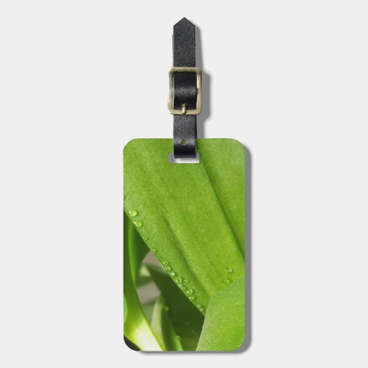 Groene Dendrobium Orchid plant closeup Bagagelabel (Voorkant verticaal)