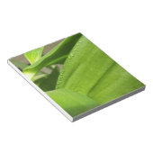 Groene Dendrobium Orchid plant closeup Notitieblok (Schuin)