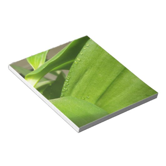 Groene Dendrobium Orchid plant closeup Notitieblok (Schuin)