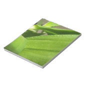 Groene Dendrobium Orchid plant closeup Notitieblok (Linkerzijde)