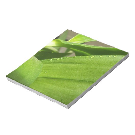 Groene Dendrobium Orchid plant closeup Notitieblok (Linkerzijde)