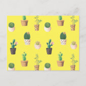 Groene dessert Succulent Cactus in Pots Briefkaart (Voorkant)