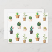 Groene dessert Succulent Cactus in Pots Briefkaart (Voorkant / Achterkant)