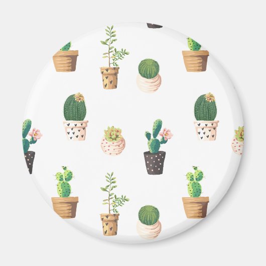 Groene dessert Succulent Cactus in Pots Magneet (Voorkant)