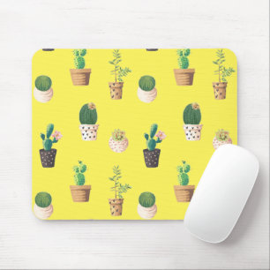 Groene dessert Succulent Cactus in Pots Muismat