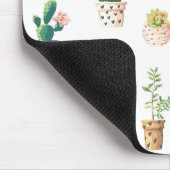 Groene dessert Succulent Cactus in Pots Muismat (Hoek)