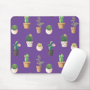 Groene dessert Succulent Cactus in Pots Muismat