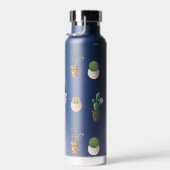 Groene dessert Succulent Cactus in Pots Waterfles (Rechts)