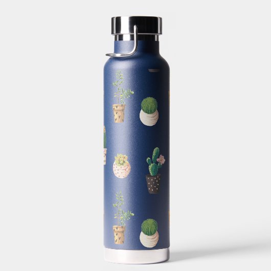 Groene dessert Succulent Cactus in Pots Waterfles (Rechts)