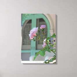 Groene deur en Roos - Martha's wijntuin Canvas Afdruk