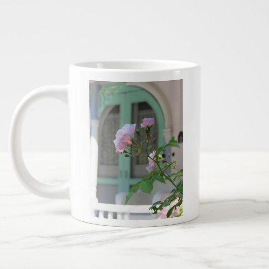 Groene deur en Roos - Martha's wijntuin Grote Koffiekop (Links)