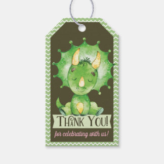 Groene Dinosaurus Meisje Baby shower Dank u Cadeau Cadeaulabel