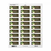 Groene dinosaurus retour adres label (Full Sheet)