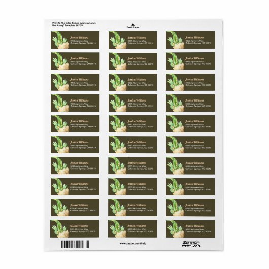 Groene dinosaurus retour adres label (Full Sheet)