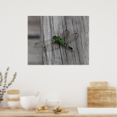 Groene Draak Poster (Keuken)