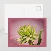 Groene droom briefkaart (Voorkant / Achterkant)