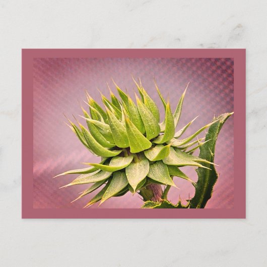 Groene droom briefkaart (Voorkant)