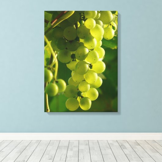 Groene druiven aan de wijnstok canvas afdruk (Insitu (Houten vloer))