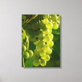 Groene druiven aan de wijnstok canvas afdruk (Voorkant)
