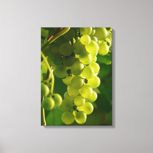 Groene druiven aan de wijnstok canvas afdruk (Voorkant)