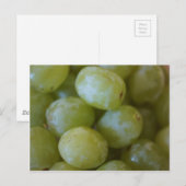 Groene druiven briefkaart (Voorkant / Achterkant)