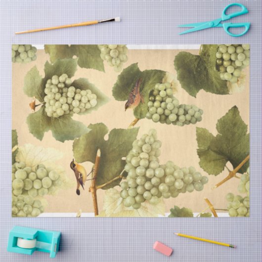 Groene druiven met vogels tissuepapier (Craft)