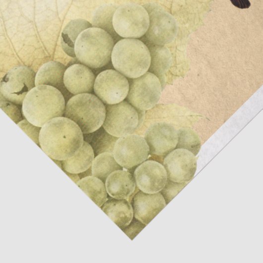 Groene druiven met vogels tissuepapier (Detail)