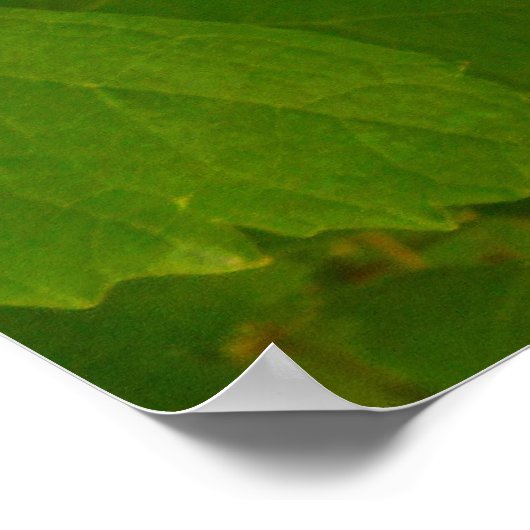 Groene druiven op de wijn poster (Hoek)