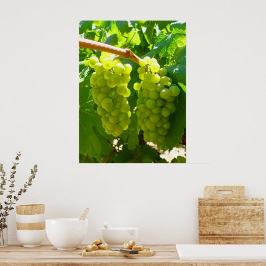 Groene druiven op de wijn poster (Keuken)