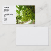 Groene druiven op de wijn visitekaartje (Voorkant / Achterkant)