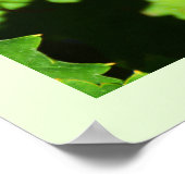 Groene druiven op wijnstokken poster (Hoek)