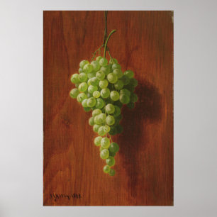Groene druiven poster