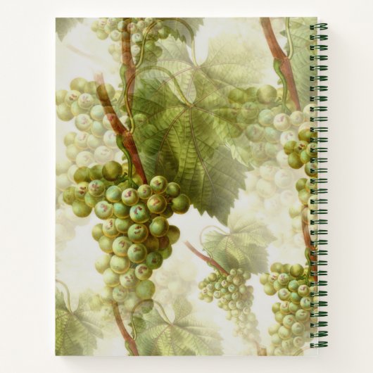 Groene druiven — Recipe Book Notitieboek (Achterkant)