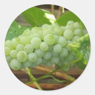 Groene druiven van Californië Ronde Sticker