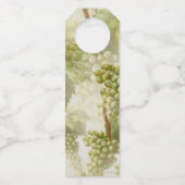 Groene druiven van en naar cadeautjes Labels voor  (Achterkant)