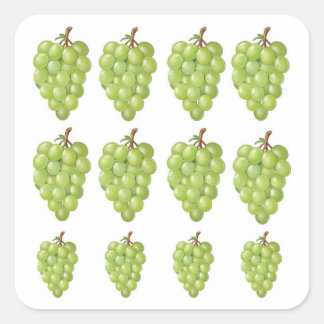 Groene druiven vierkante sticker