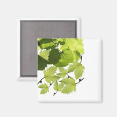 Groene druivenbladeren magneet (Voorkant / Achterkant)