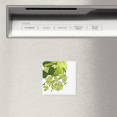 Groene druivenbladeren magneet (Insitu (Vaatwasser))