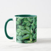 Groene druivenbladeren mok (Links)
