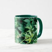 Groene druivenbladeren mok (Voorkant rechts)