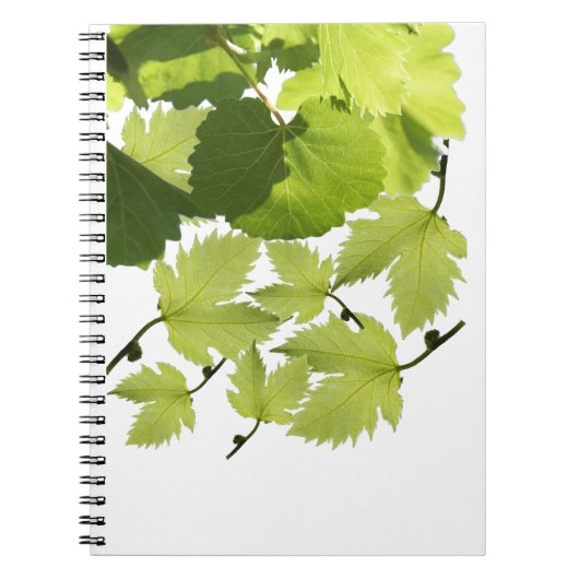 Groene druivenbladeren notitieboek (Voorkant)
