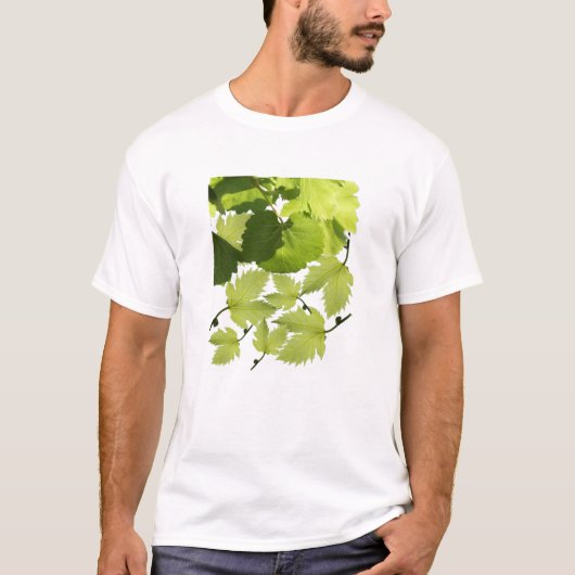 Groene druivenbladeren t-shirt (Voorkant)