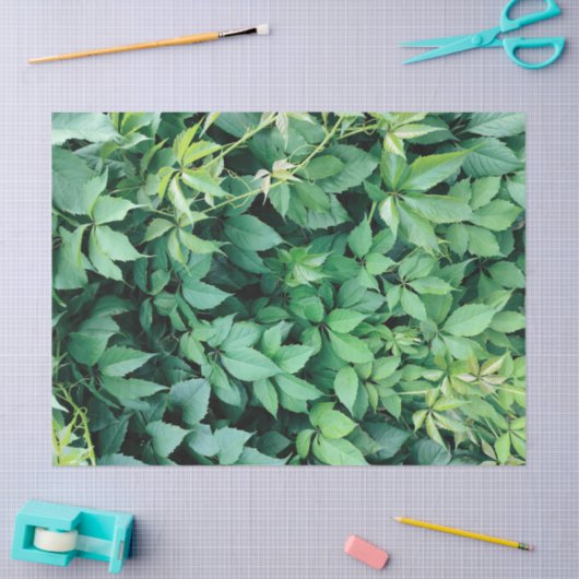 Groene druivenbladeren tissuepapier (Craft)